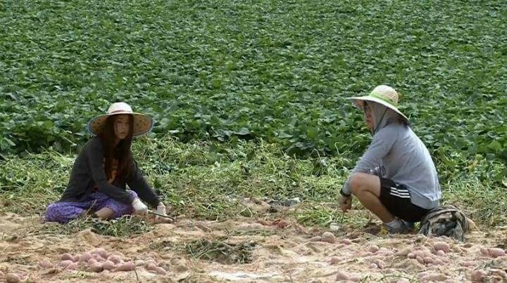 고구마 캐다 빡쳐서 걸그룹 탈퇴한 아이돌 | 인스티즈