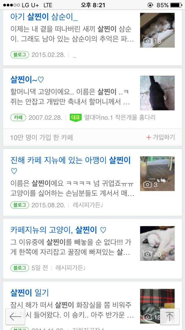 살찐이(feat.야옹🐈🐾) | 인스티즈