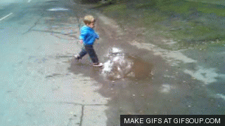 물웅덩이를 보면 그냥 지나치지 못하는 아기들 | 인스티즈