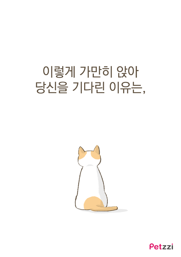 고양이들이 화장실 문앞에 기다리는 이유.jpg | 인스티즈