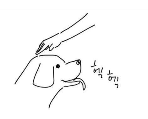 강아지쓰다듬을때 생기는일 | 인스티즈