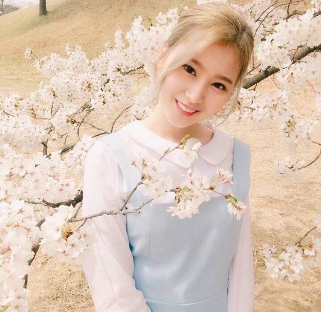 [트와이스] 외국인 멤버들 글씨체.jpg | 인스티즈