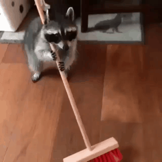 청소나 하자.gif | 인스티즈