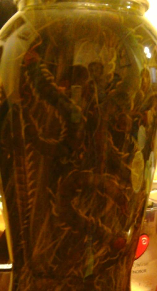 각종 술 (혐오주의) | 인스티즈