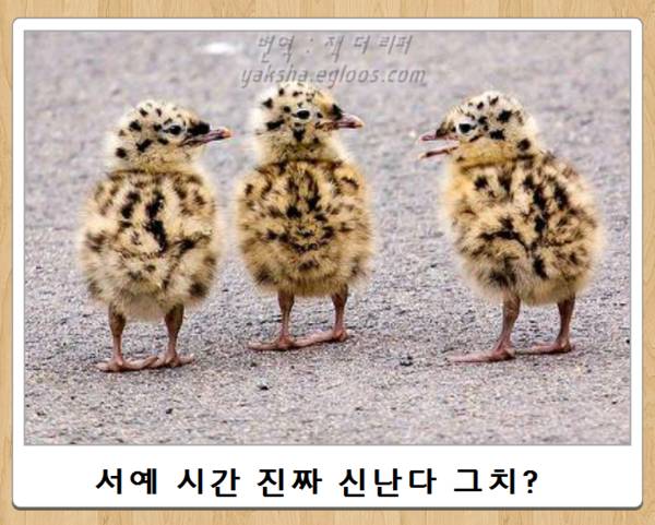 제목학원 시리즈 | 인스티즈