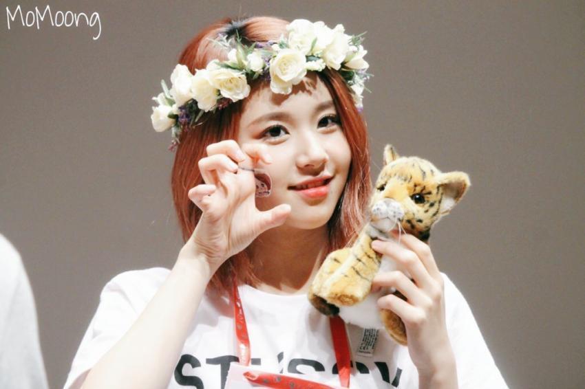 트와이스 덕질의 종착지 채영 | 인스티즈