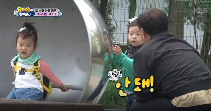 [슈돌] 대박이를 데려가려는 낯선 아저씨 등장!! 비글자매는 대박이를 지킬수 있을것인가? (설크러쉬모드 ㄷㄷㄷ) | 인스티즈