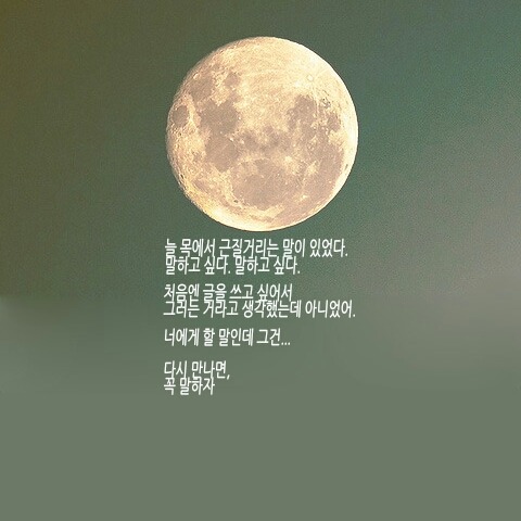 당신 생각을 켜 놓은 채 잠이 들었습니다 | 인스티즈