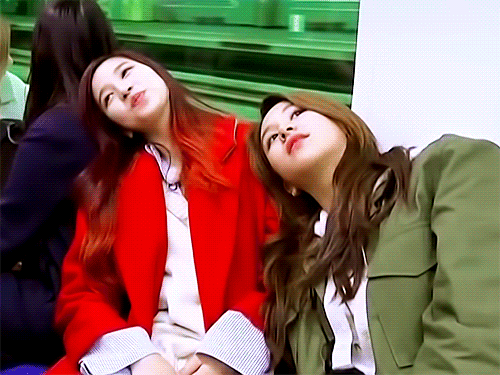 트와이스 채영 덕후.gif | 인스티즈