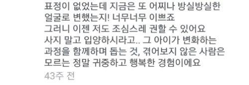 유기견에서 스타강아지가 되기까지 달리의 변화모습 | 인스티즈