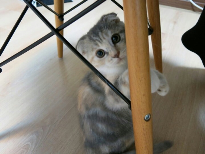 따묵하니까 생각나서 글쓰자나~ | 인스티즈