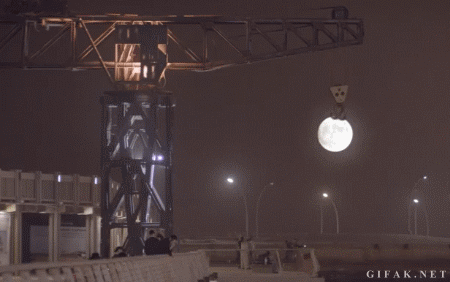 그냥 계속 보게되는 움짤.gif | 인스티즈