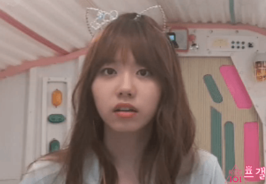 아이오아이 브이앱 요약 ㅋㅋ | 인스티즈