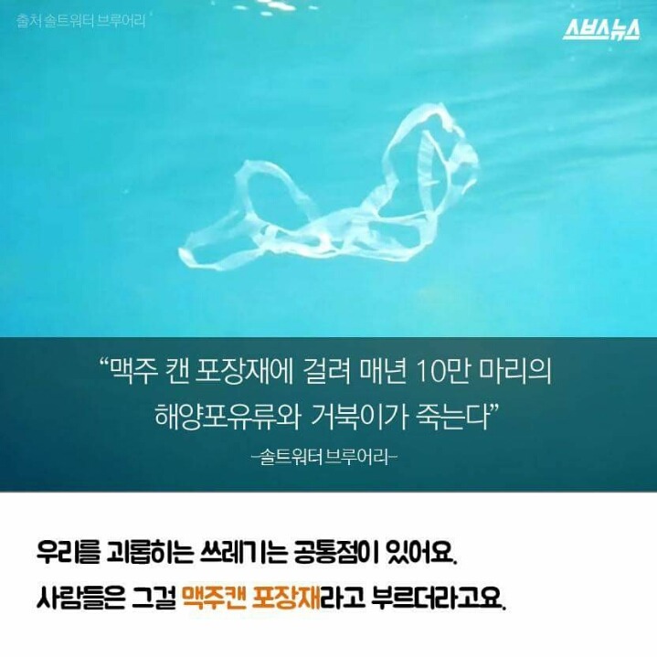 저는 땅콩 거북이 입니다 | 인스티즈