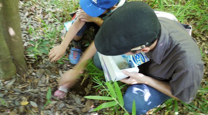 일본초딩이 찍은 헤라클레스 장수풍뎅이의 일생 | 인스티즈