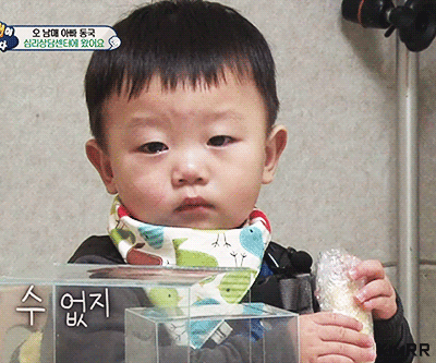 바나나 까달라고 쳐다보는 대박이.gif | 인스티즈