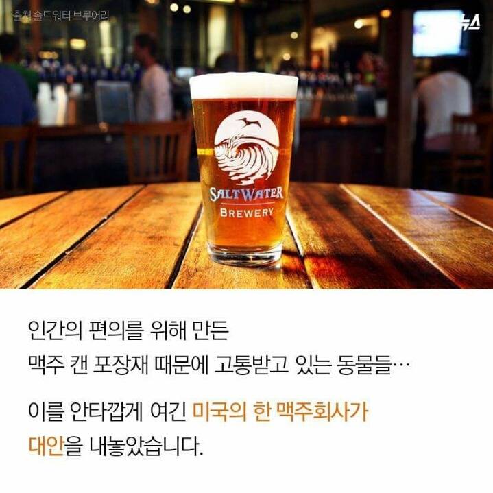 저는 땅콩 거북이 입니다 | 인스티즈