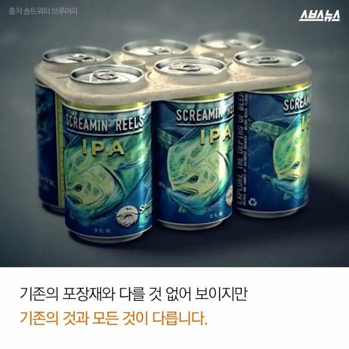 저는 땅콩 거북이 입니다 | 인스티즈