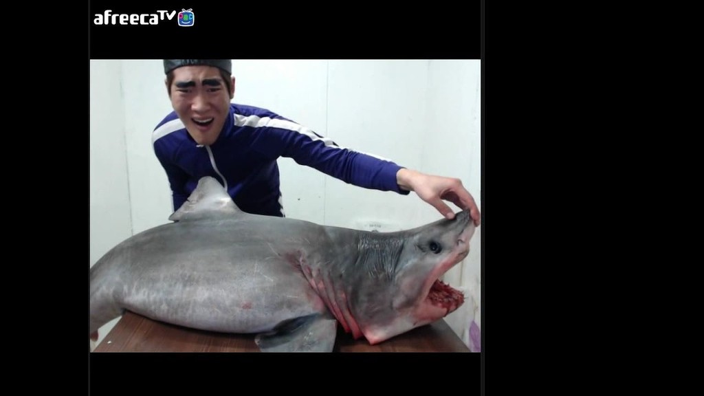 흔한 아프리카BJ 클라스 | 인스티즈