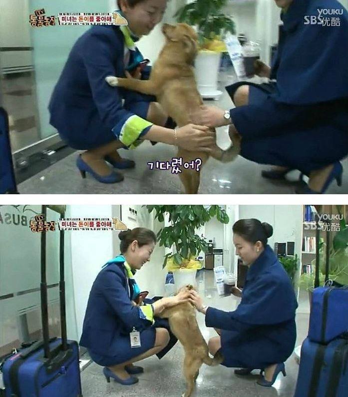 여자만 좋아하는 강아지 | 인스티즈