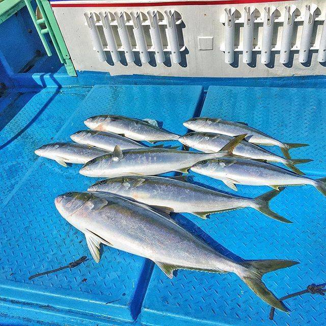 낚시 좋아하는 아이돌 | 인스티즈