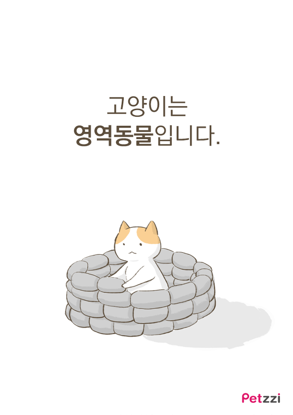 고양이들이 화장실 문앞에 기다리는 이유.jpg | 인스티즈