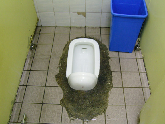 한국 여행 온 외국인들이 충격받는 한국의 화장실 문화.jpg | 인스티즈