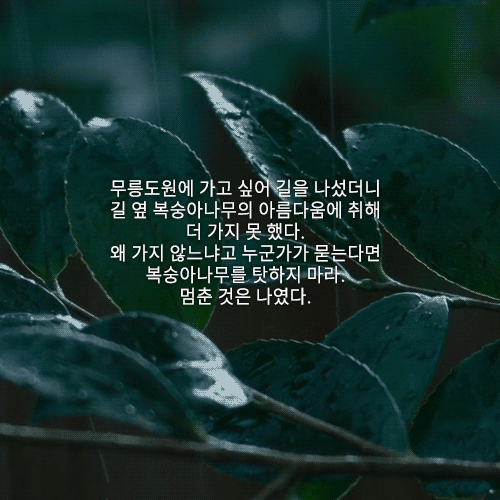 삶의 자극을 주는 좋은글.gif | 인스티즈