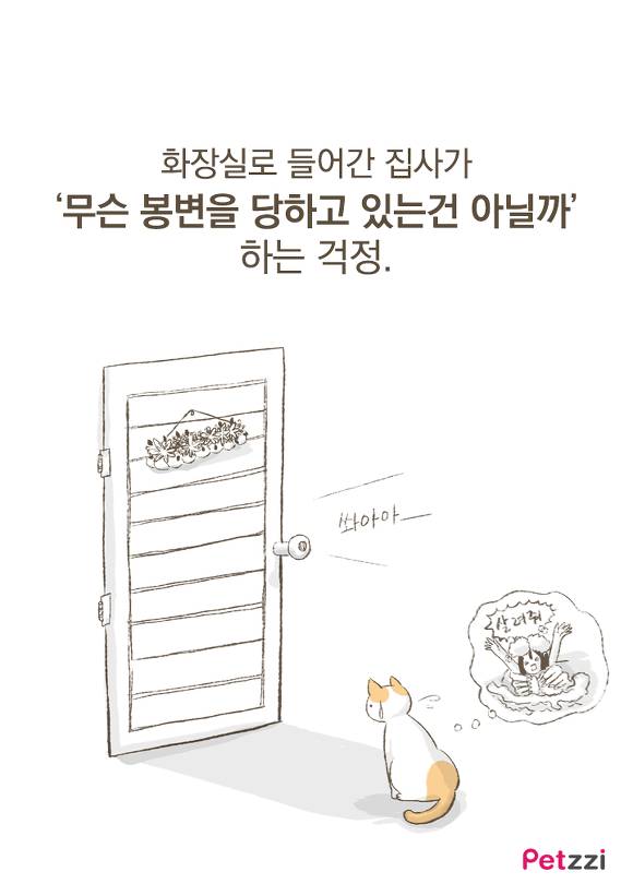 고양이들이 화장실 문앞에 기다리는 이유.jpg | 인스티즈