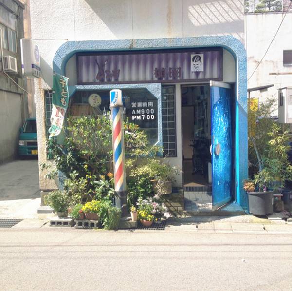 많은 사람들이 좋아하는 일본 특유의 청량감있고 아련한 분위기 | 인스티즈