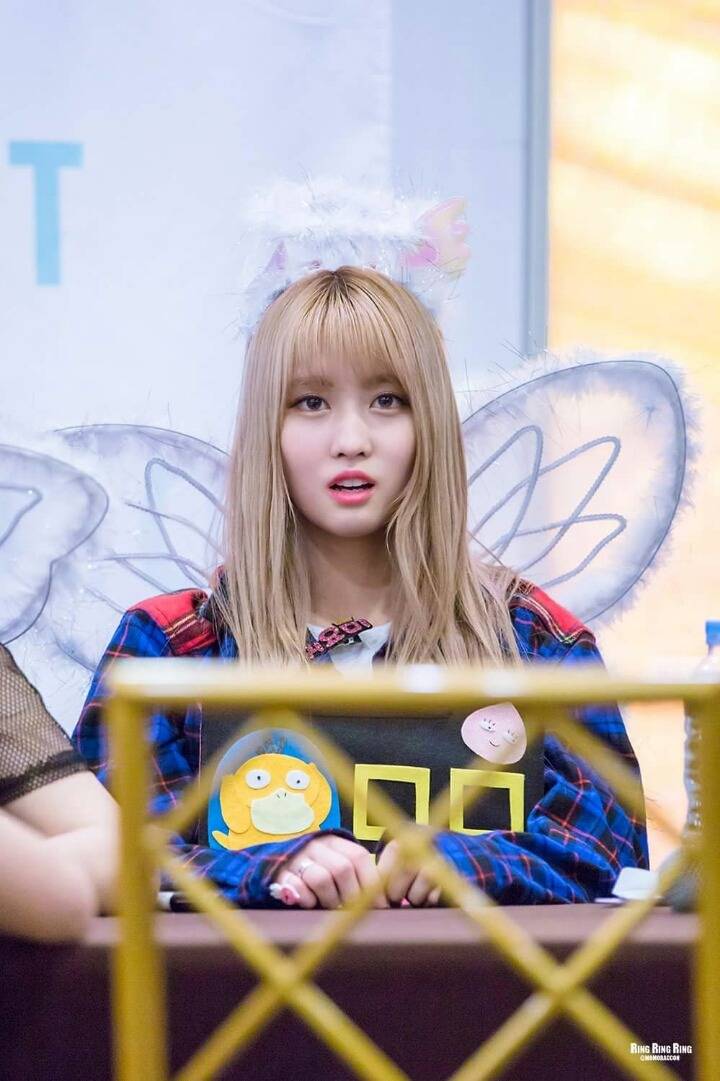 새벽의 트와이스 | 인스티즈