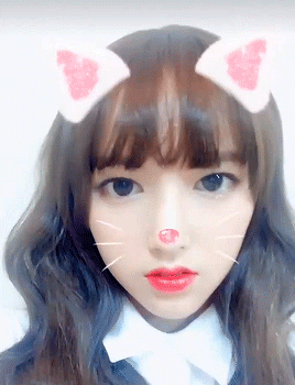 성소 닮은 고양이 | 인스티즈