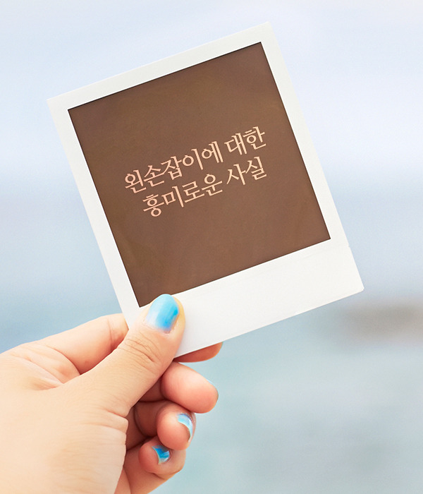 왼손잡이에 대한 흥미로운사실 | 인스티즈