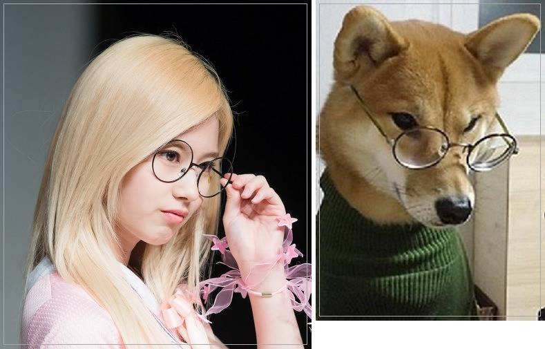 트와이스 시바? | 인스티즈