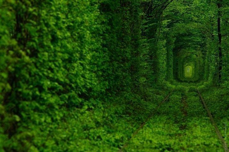 사랑의 터널 | 인스티즈