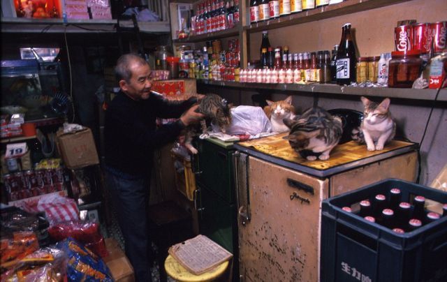 어둡고 지저분한 곳.jpg | 인스티즈