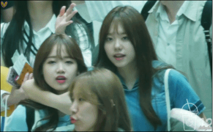 아이오아이 IOI 짱덕 3인방.gif | 인스티즈