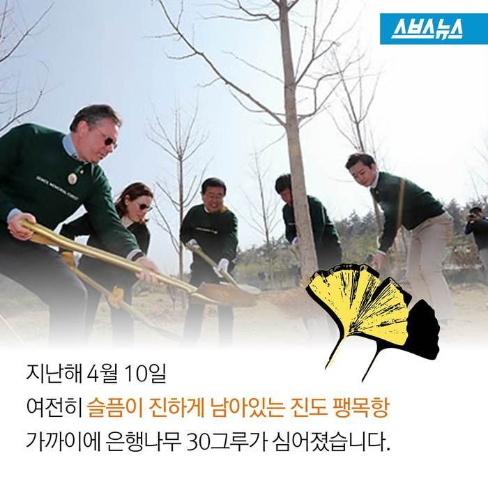  세상에서 가장 아름다운 여배우 | 인스티즈