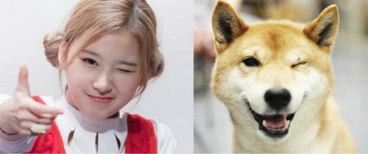 트와이스 사나 | 인스티즈