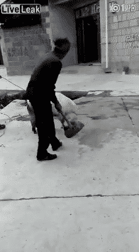 돼지 해머 도살.gif (혐오주의) | 인스티즈