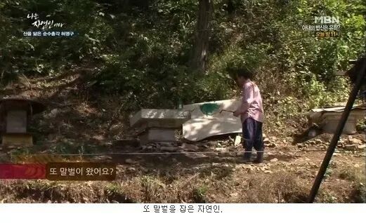 나는 자연인이다 레전드.JPG | 인스티즈