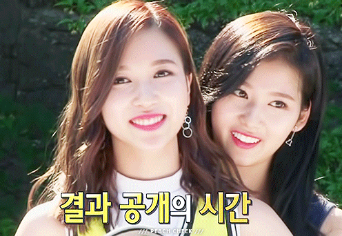 사나 왈 우리 이러다 (솔로로) 죽는거 아냐? | 인스티즈