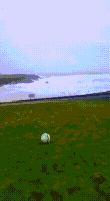 매장직원의 남다른 표현능력 | 인스티즈