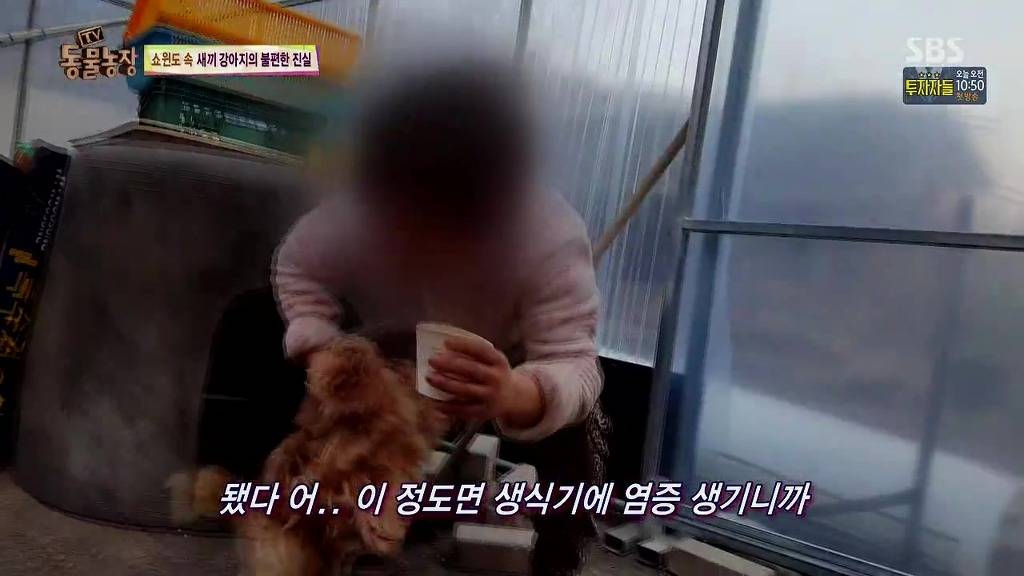 강아지 공장 철폐를 위한 동물보호법 개정 서명운동 동참합시다!!(분노주의) | 인스티즈