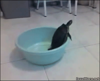 말짱 도루묵.gif | 인스티즈