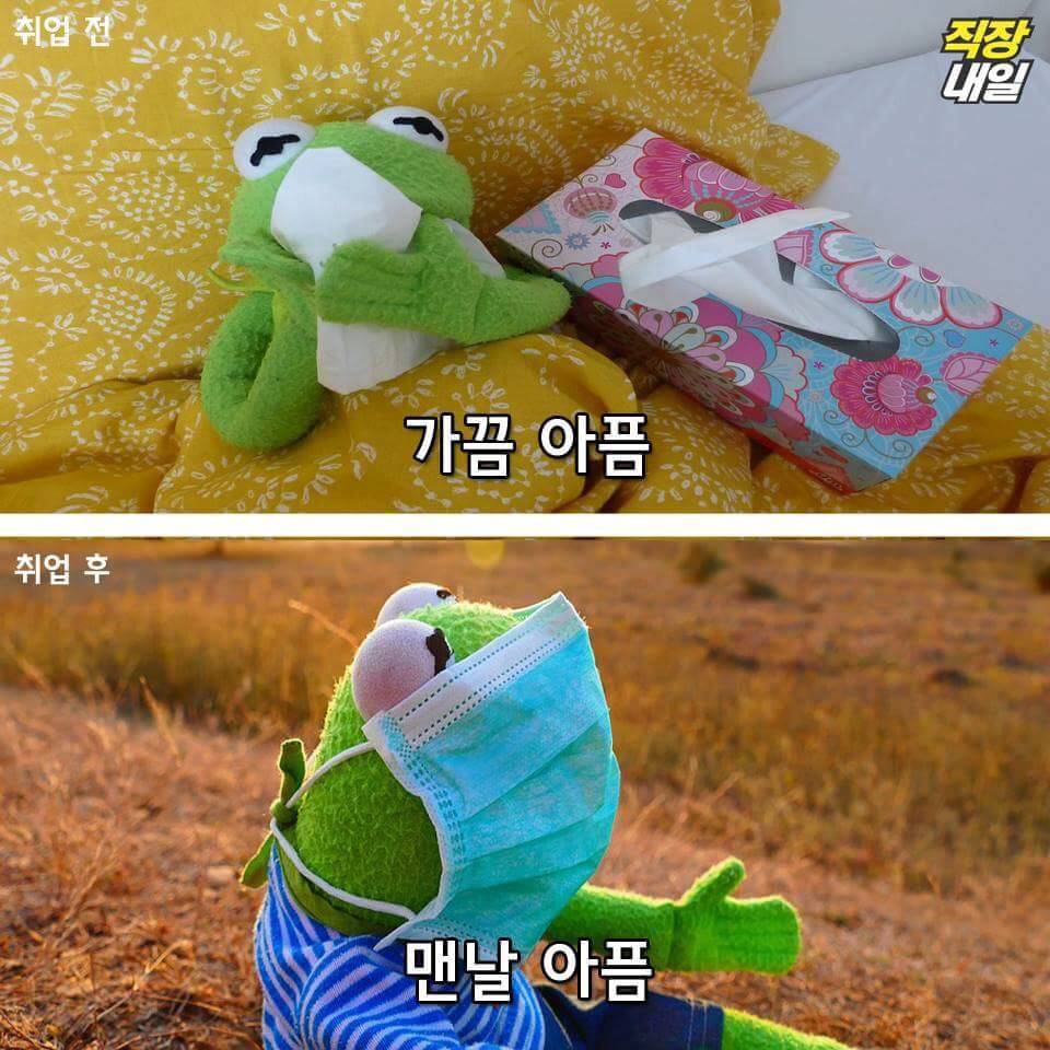 직장인이 되기 전과 후.jpg | 인스티즈