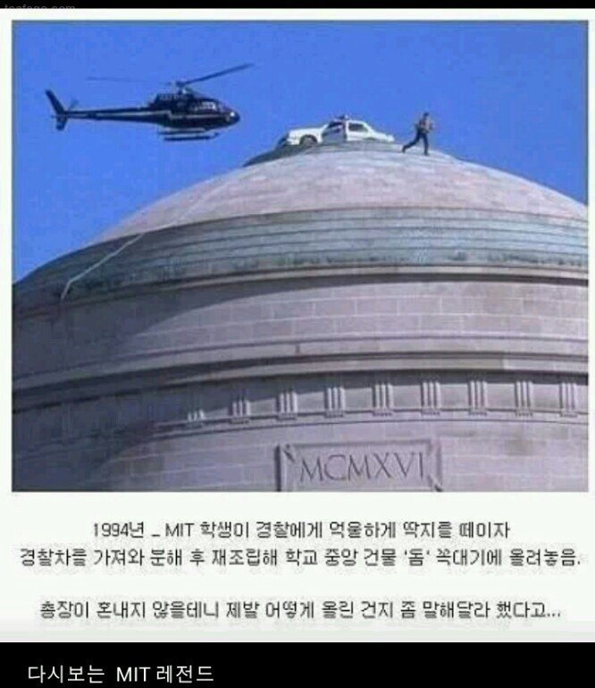 분노의 MIT 학생 | 인스티즈