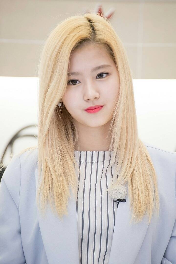 트와이스 사나 | 인스티즈