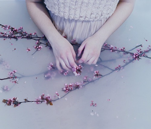 사랑해도 혼나지 않는 꿈이었다 | 인스티즈