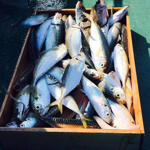 낚시 좋아하는 아이돌 | 인스티즈